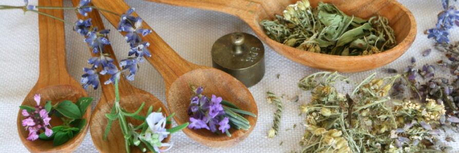olahan herbal digabungkeun ngalawan cacing